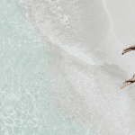 Thumbnail of 