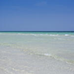 Thumbnail of 