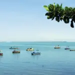 Thumbnail of 