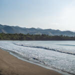 Thumbnail of 